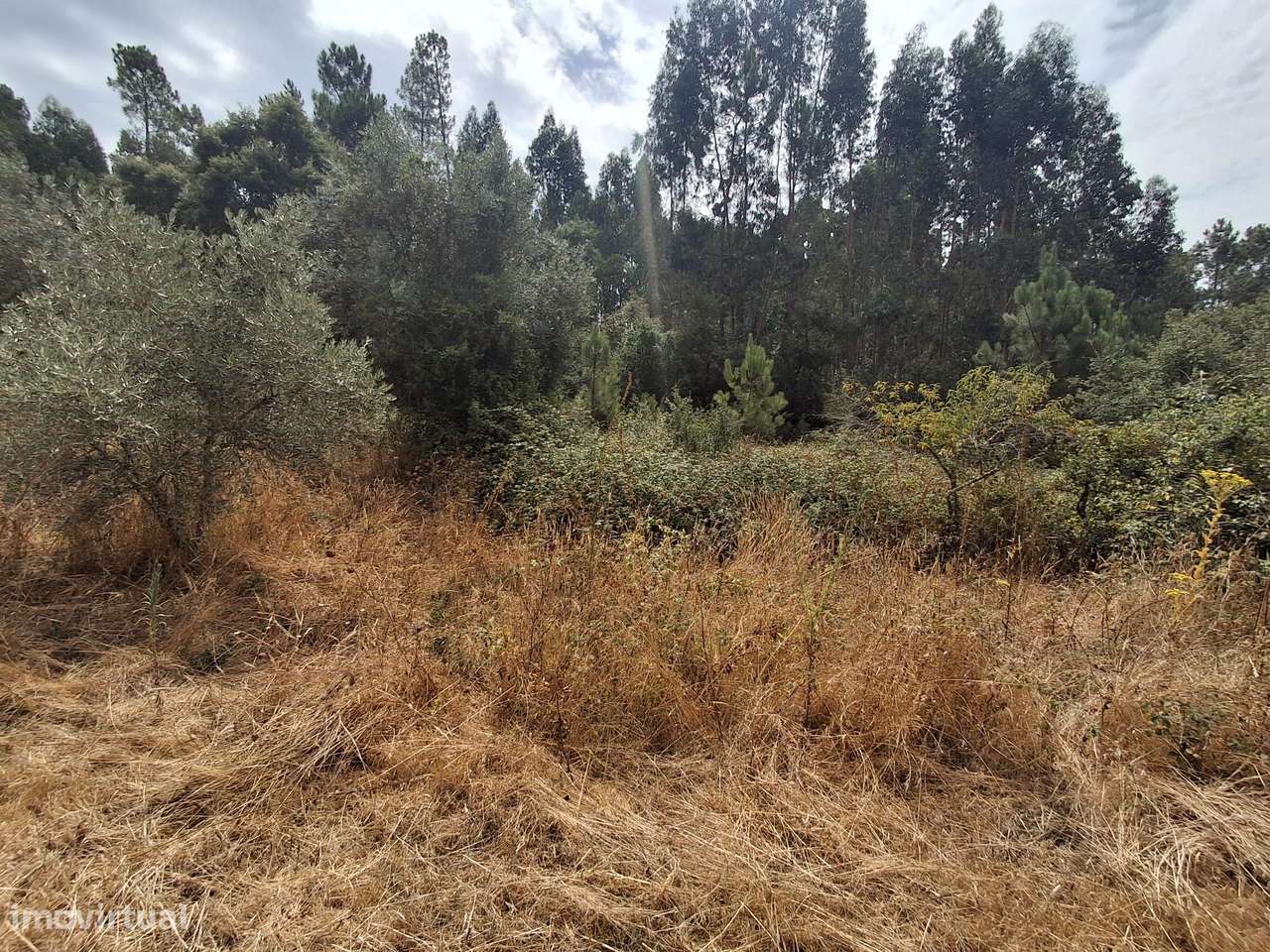 Terreno rústico em Pussos São Pedro, 4880 m² - Grande imagem: 4/16