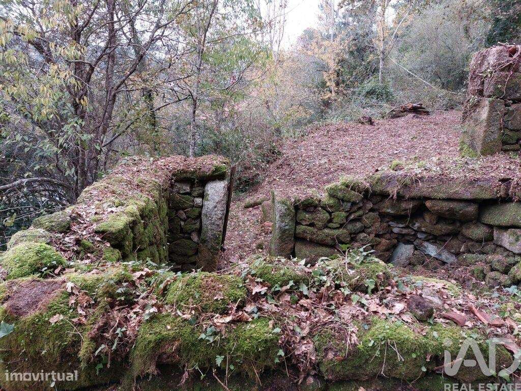 Terreno misto em São Cristóvão de Nogueira - Grande imagem: 4/16