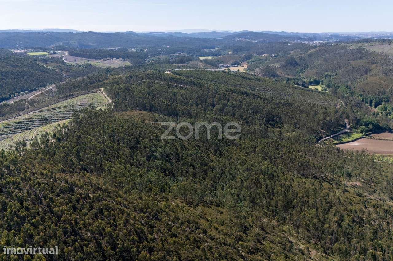 Terreno rústico - 35.600m2 - Cedões - Trofa - Grande imagem: 5/15