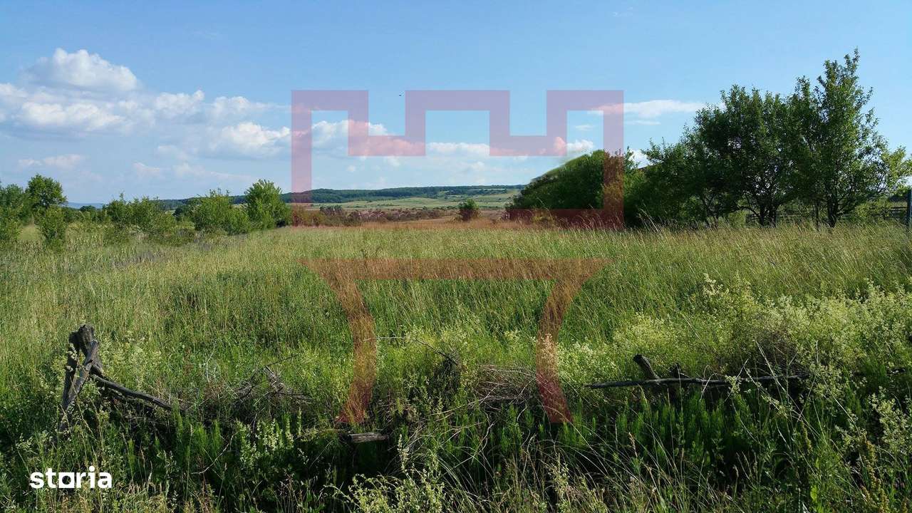 Parcela de teren Valea Fanatelor extravilan parcelat 525mp-14