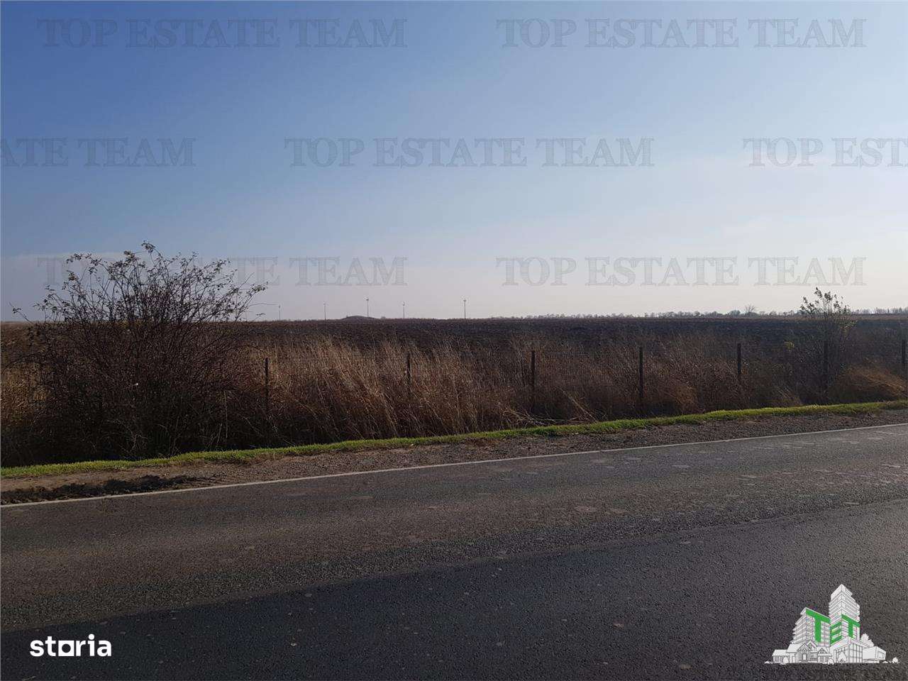 Teren extravilan - Braila - E584 - vanzare - Imagine principală: 1/2