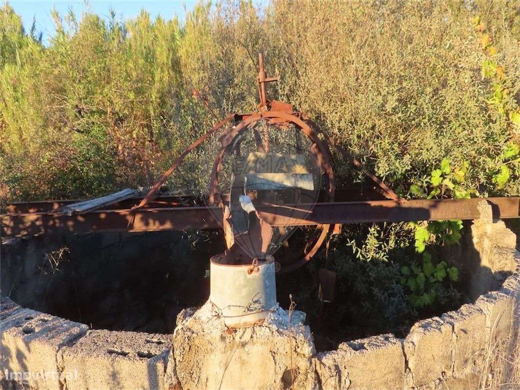 Quinta  para venda - Grande imagem: 4/37