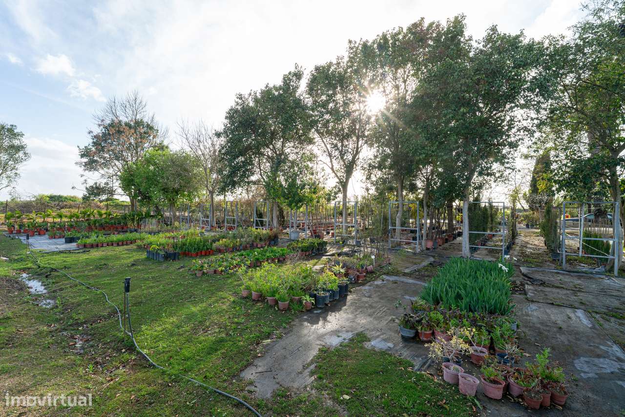 Trespasse de Centro de Jardinagem – Negócio Completo e Equipado - Beja-6