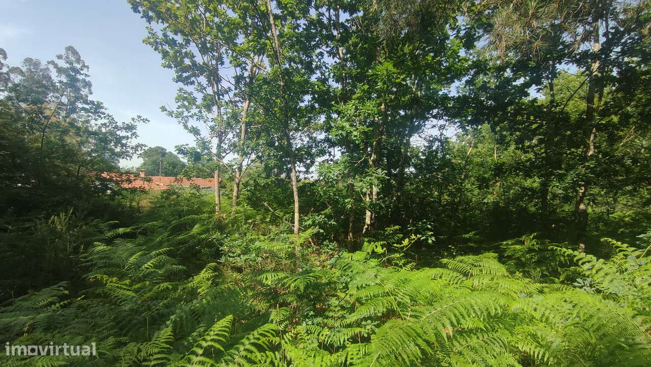 Terreno em Fiscal, Amares-11