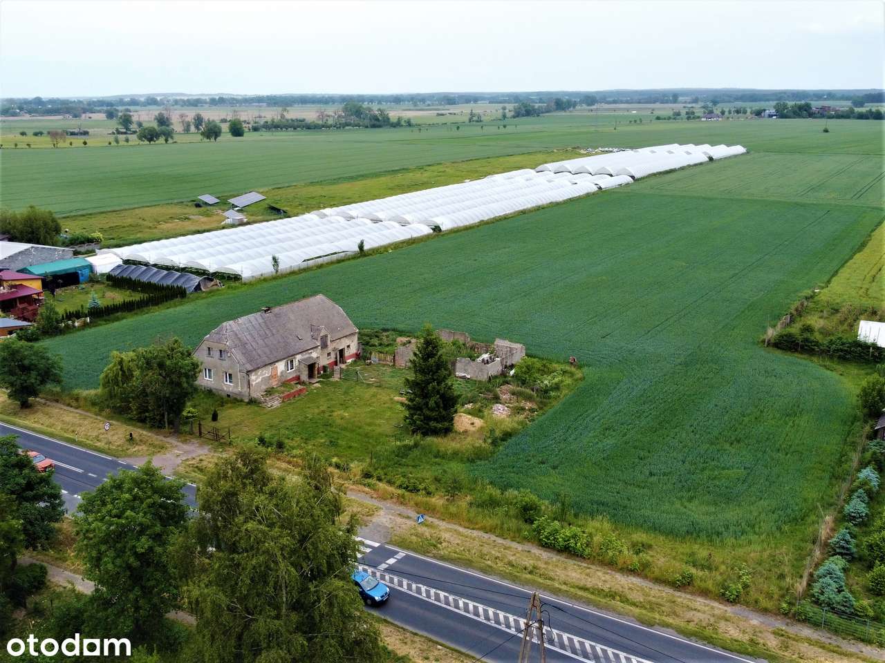 Na sprzedaż siedlisko w Renicach na dużej działce.-11