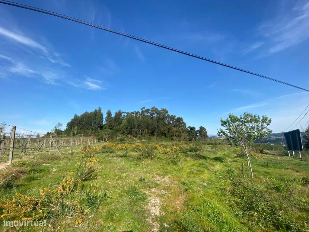 Terreno Agrícola | 9000m² - Grande imagem: 5/5