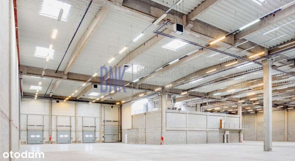 Powierzchnia magazynowa - Warszawa, Łopuszańska - Pełny obrazek: 3/5