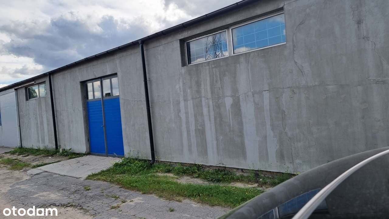 Wynajmę halę produkcyjno magazynową - Pełny obrazek: 2/12