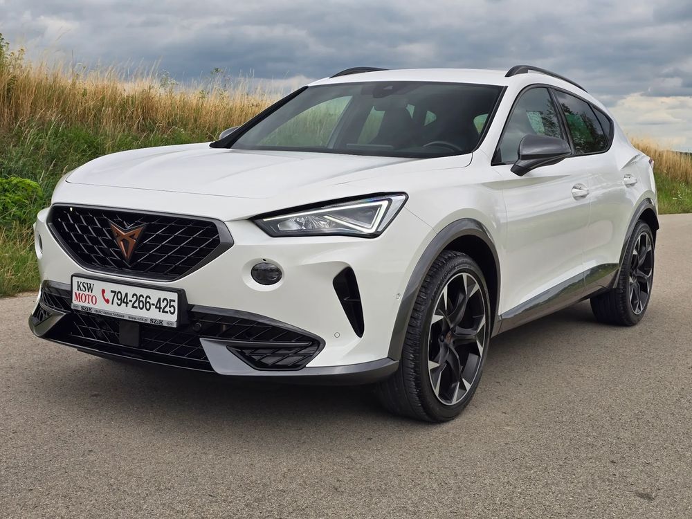 Cupra Formentor VZ 2.0 TSI 4Drive DSG 2024