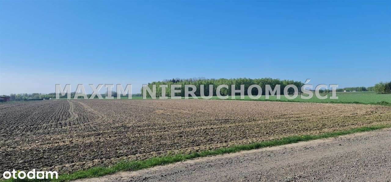 Działka Poczernin koło Płońska - Pełny obrazek: 4/8