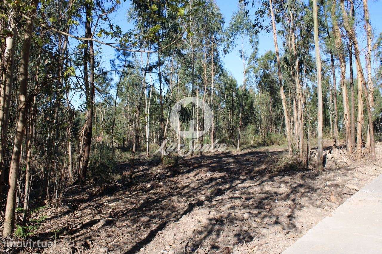 Terreno para construção de moradias - Grande imagem: 5/23