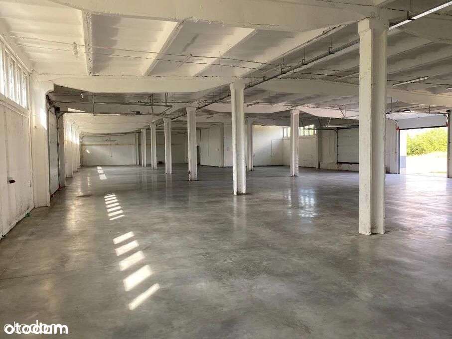 Do wynajęcia hala po remoncie z biurem i parkingiem – Uścimów - Pełny obrazek: 5/10