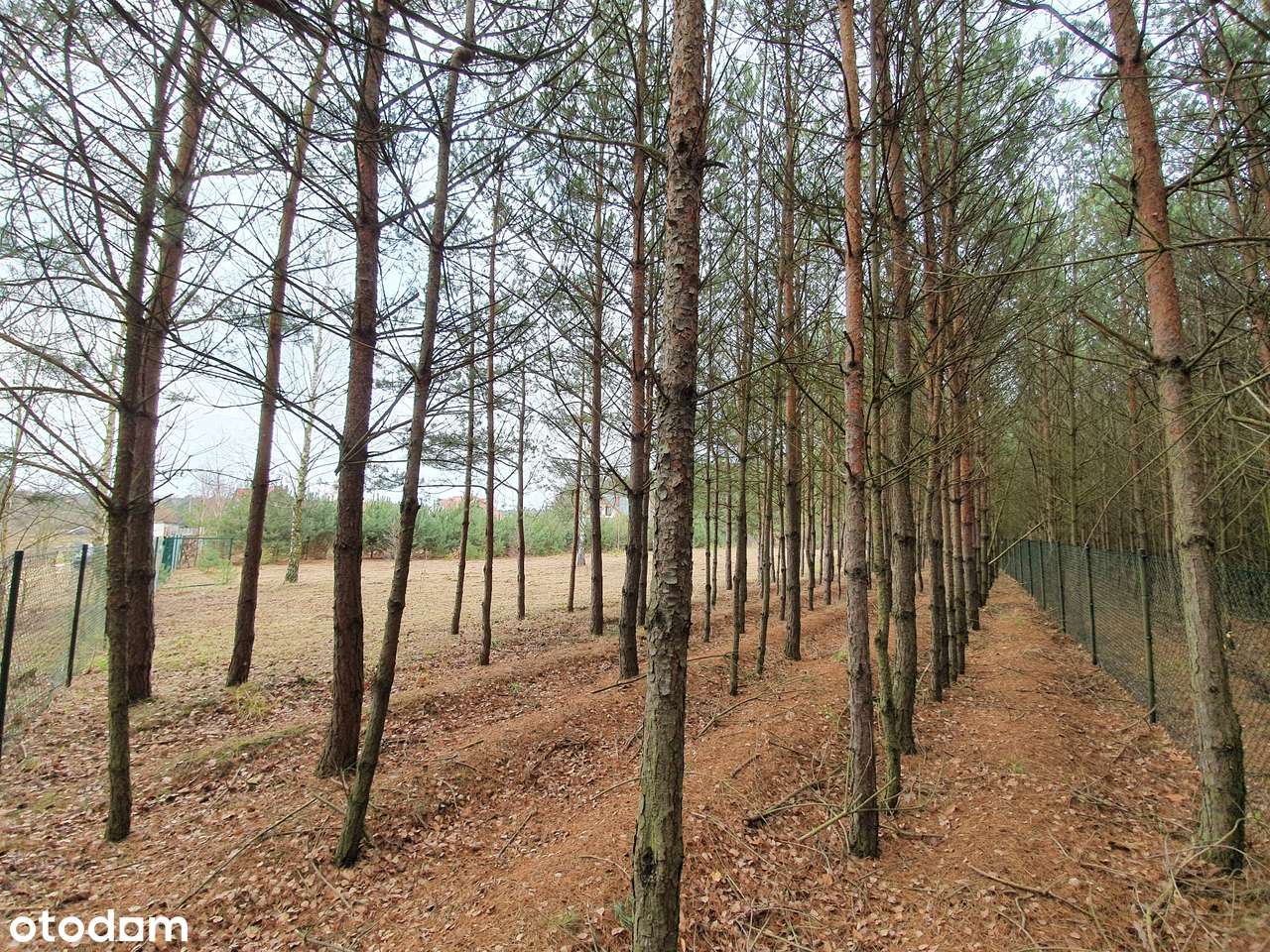 Działka z pozw. na budowę, projekt Inovia, j. Białe-6