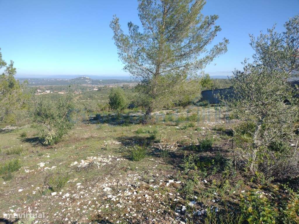 Terreno de 1505m2 urbanizável em Ortiga, Fátima com vista Castelo O...-4