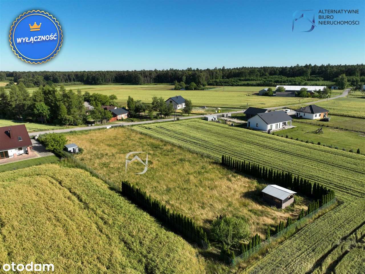 Atrakcyjna działka budowlano-inwestycyjna 3000 m² - Pełny obrazek: 4/14