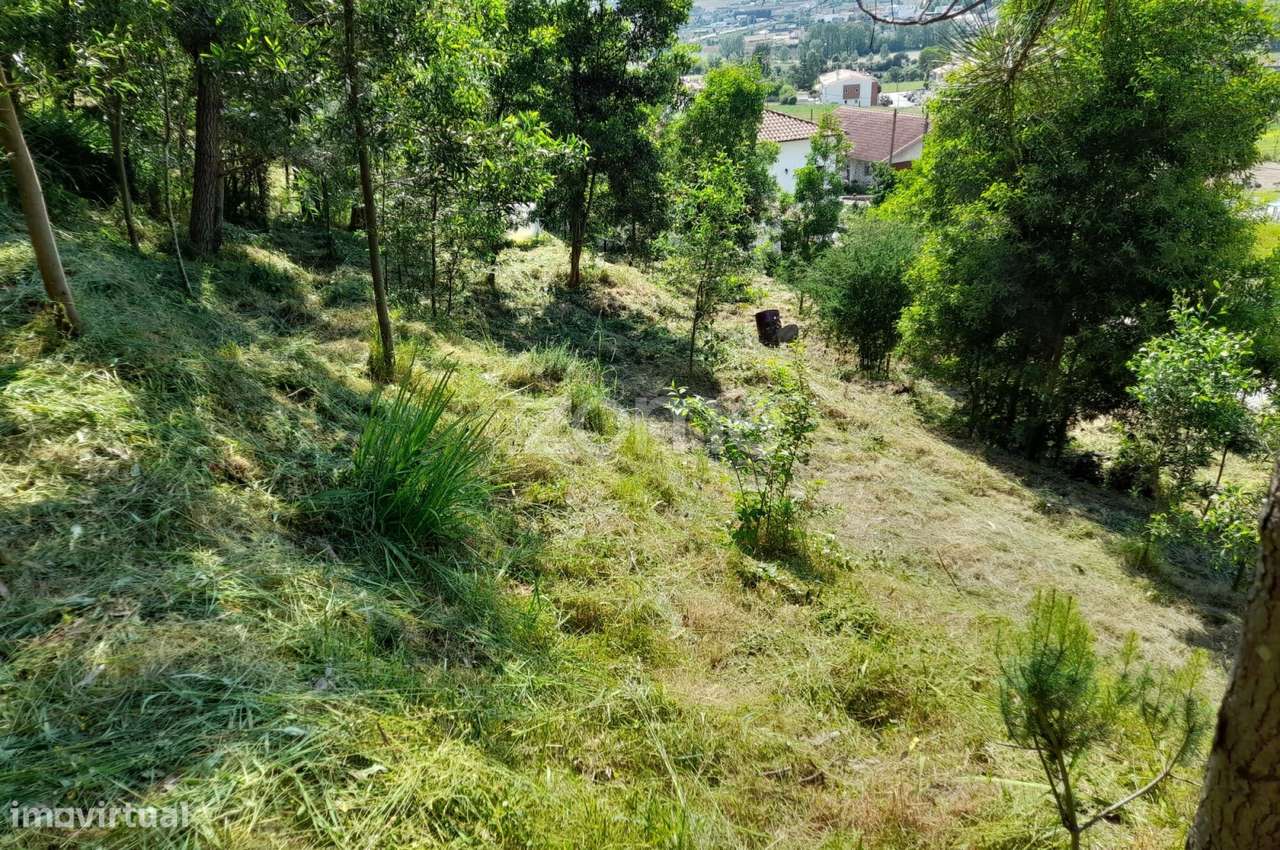 Terreno Urbanizável na Rua do Sá, Esporões-4