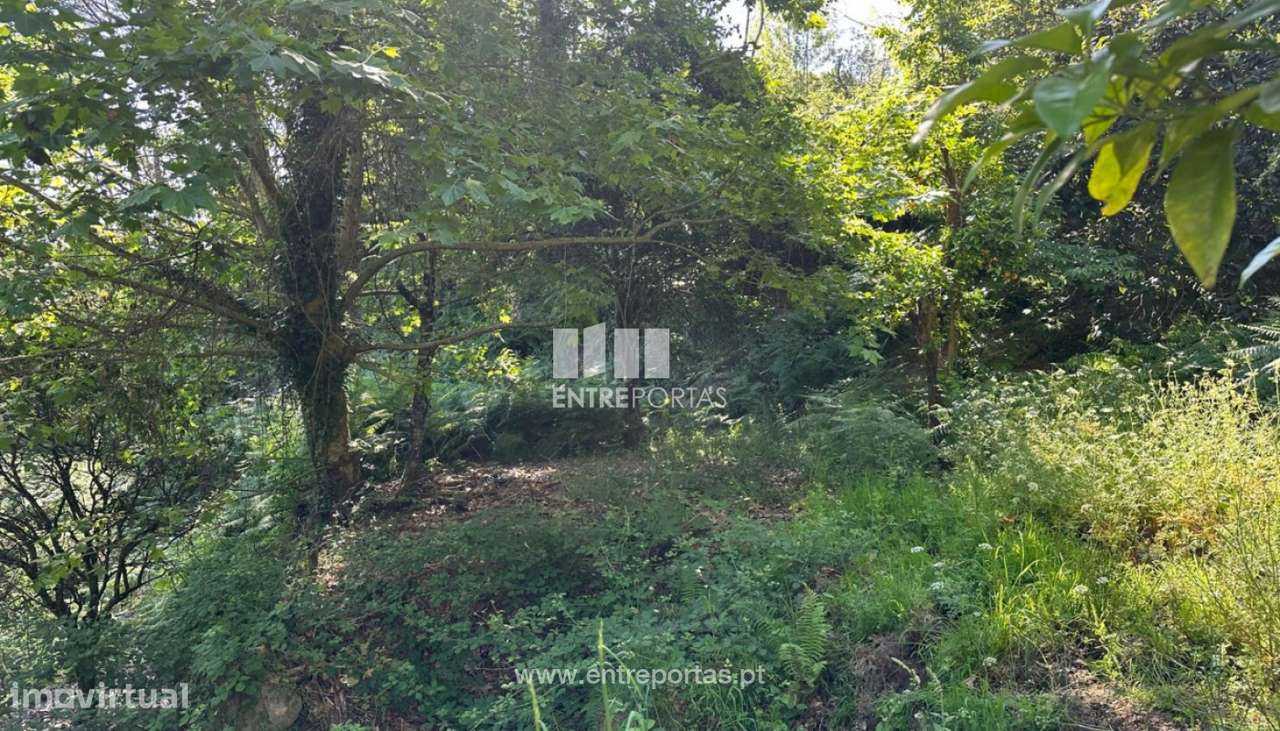 Venda Terreno, São Cristóvão de Nogueira, Cinfães - Grande imagem: 5/30