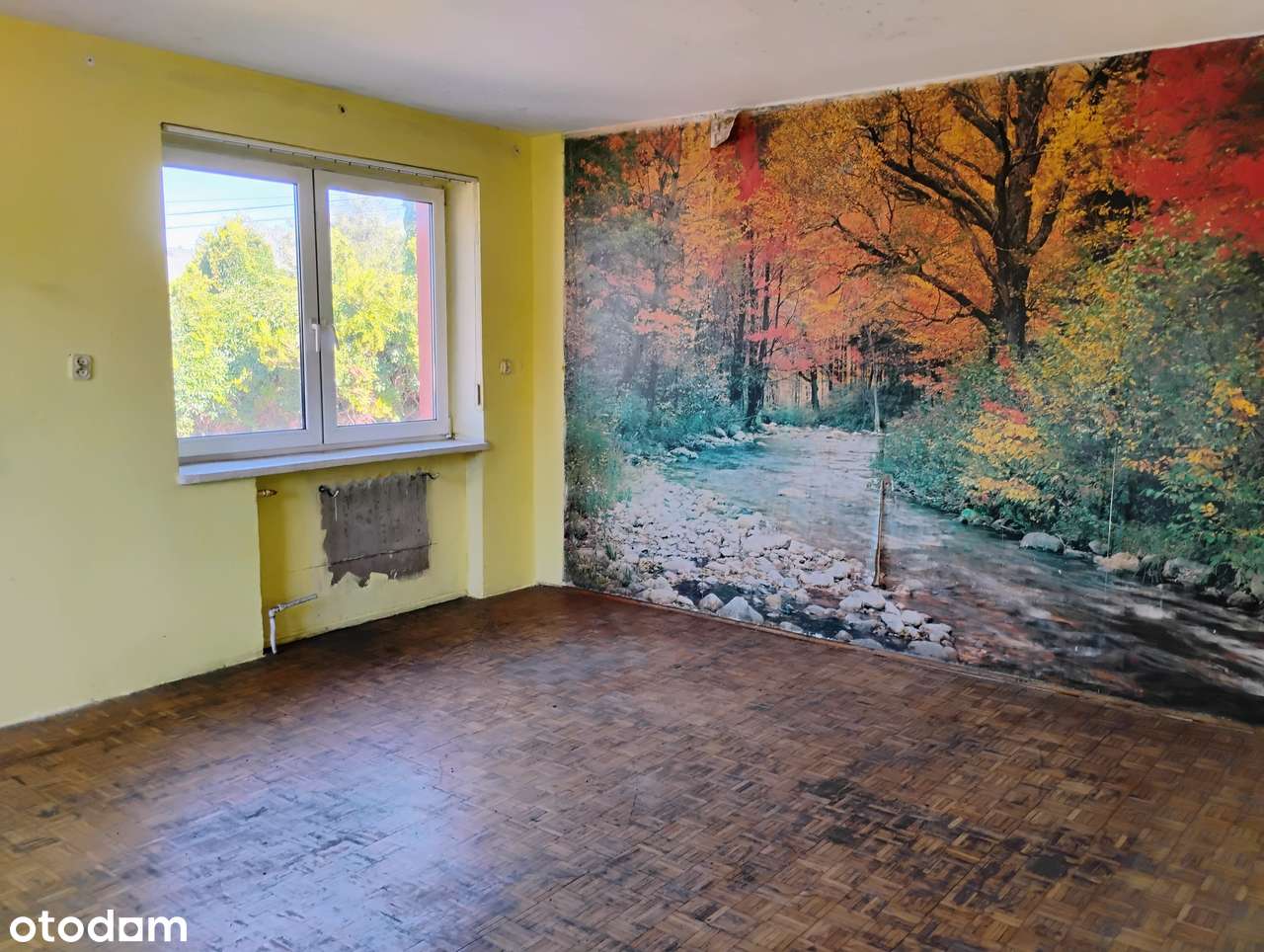 Przestronny dom w Domaniewie | Bezpośrednio - Pełny obrazek: 5/8