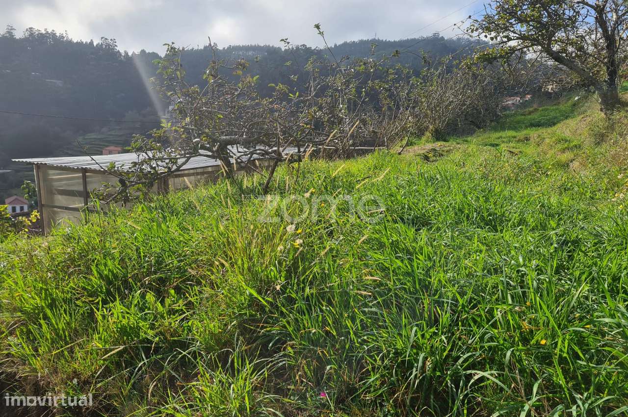 Terreno urbanizável com 800m2 na Camacha, Madeira - Grande imagem: 2/20