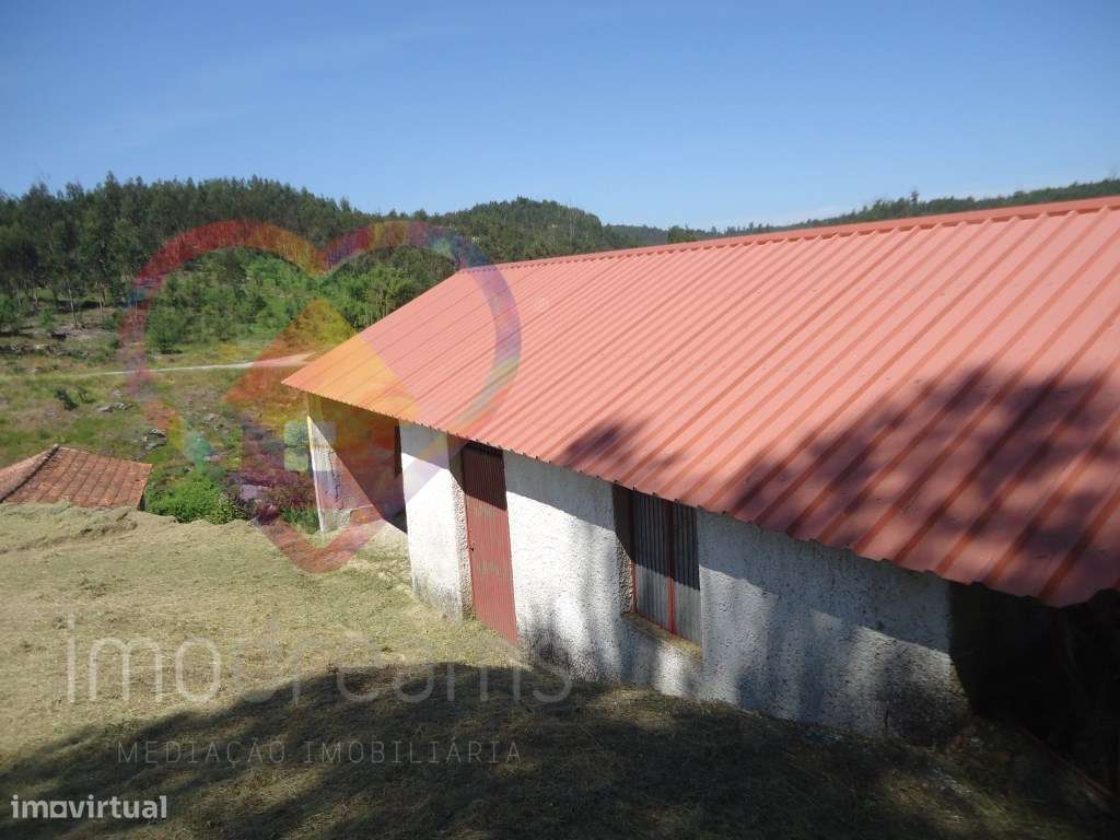 Quinta T6 em Santa Comba Dão - Viseu-56