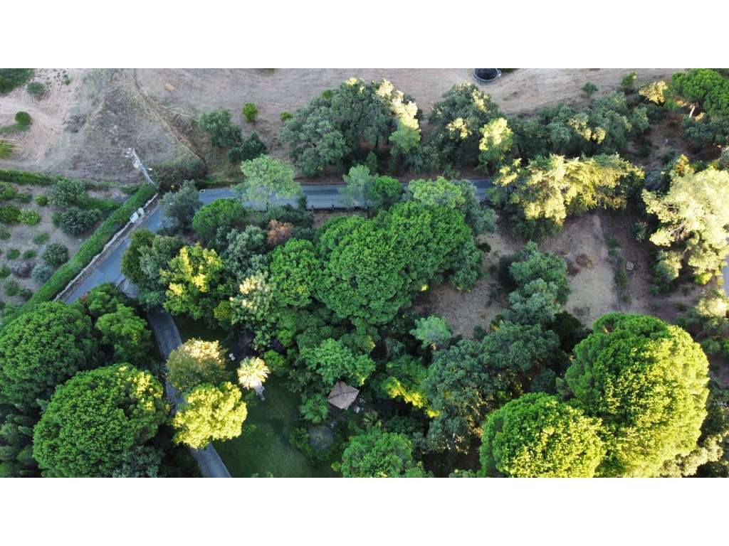 Lote para Construção em Miraventos - Vista Panorâmica sobre Setúbal... - Grande imagem: 4/28