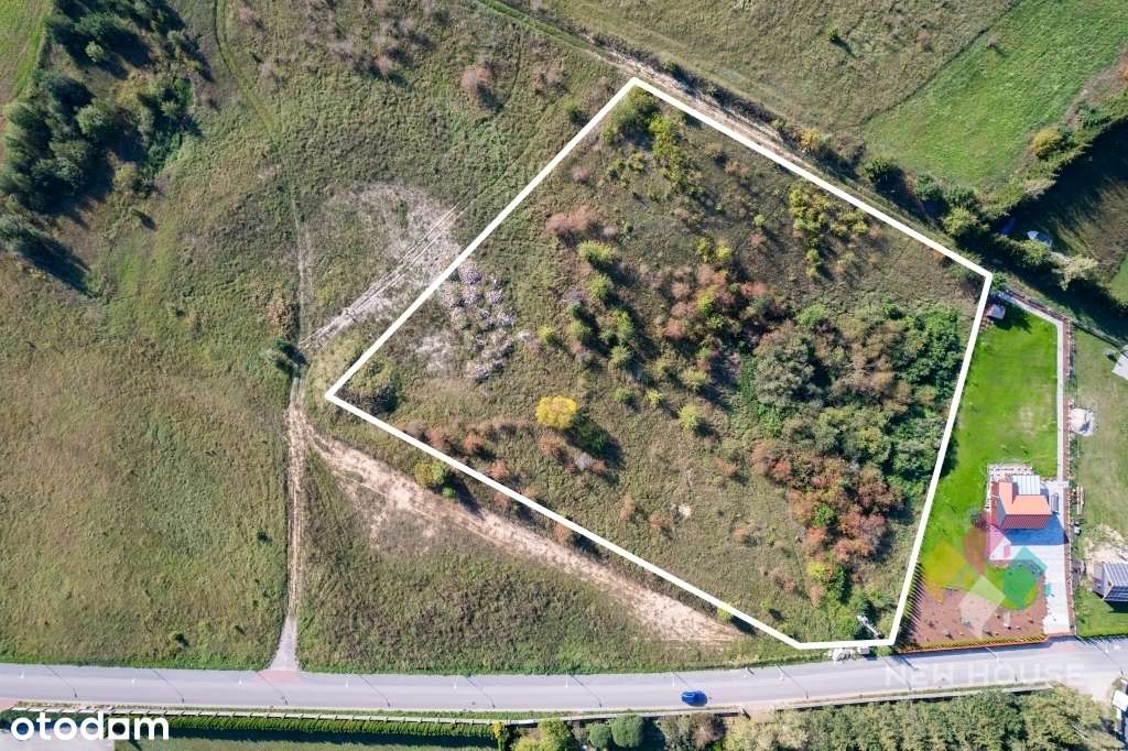 Stare Sady - działka idealna pod inwestycję - Pełny obrazek: 4/13