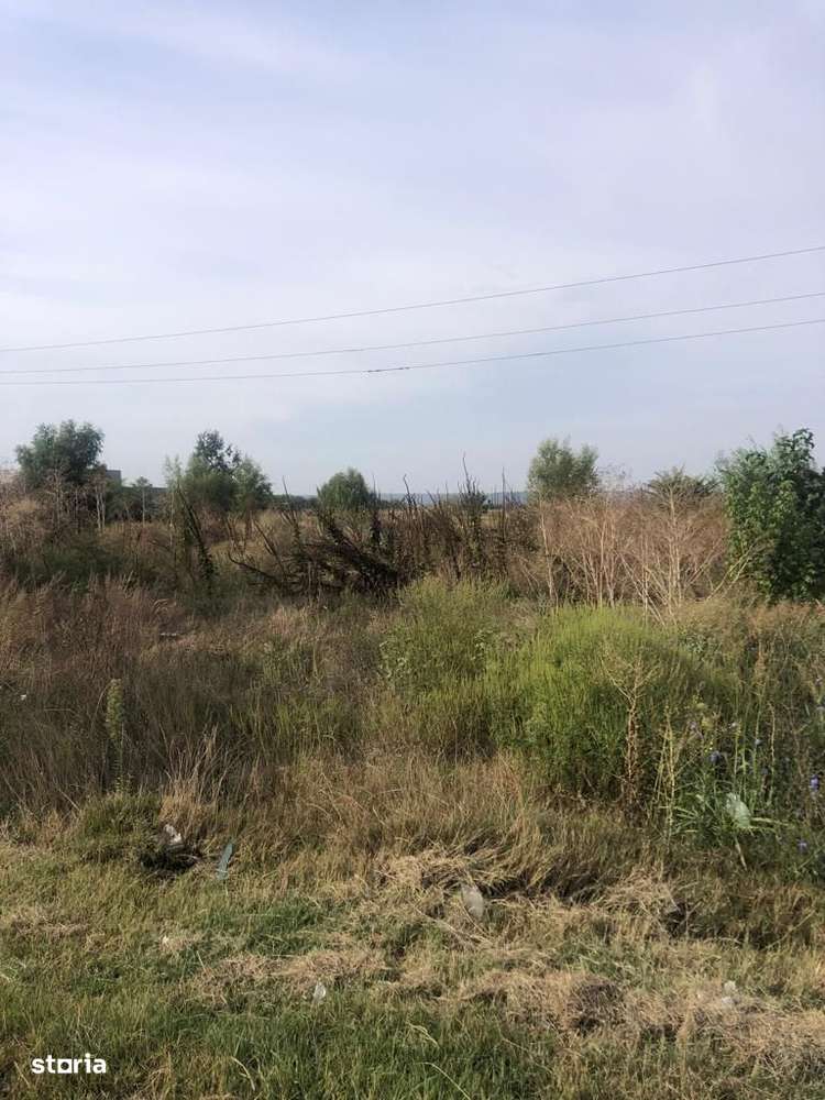 Exclusivitate! DGM IMOBILIARE: OCAZIE! Teren stradal DE70, CRAIOVA-3