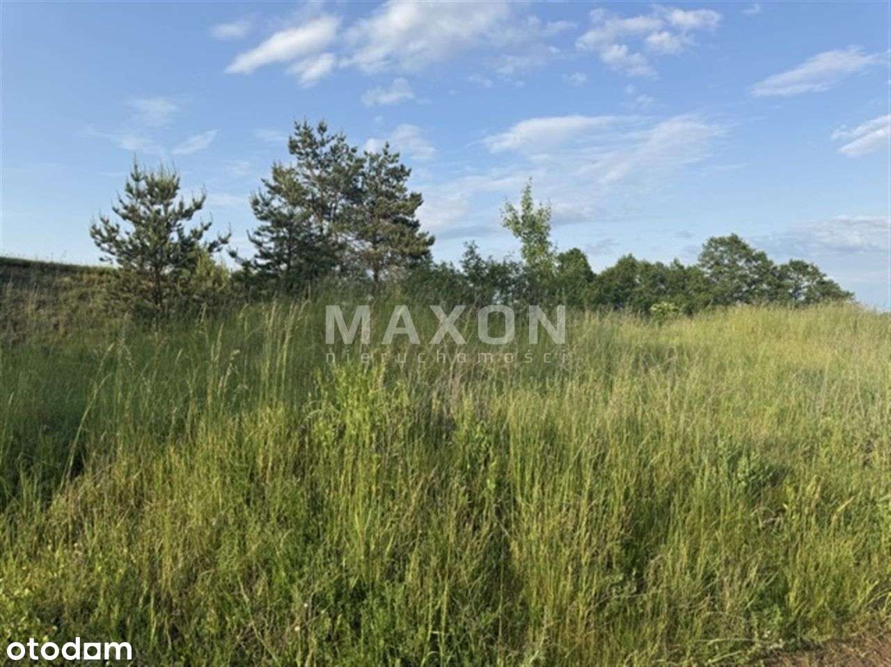 Działka 2 ha, Wz, Lubiewo, Mikołajki - Pełny obrazek: 5/13