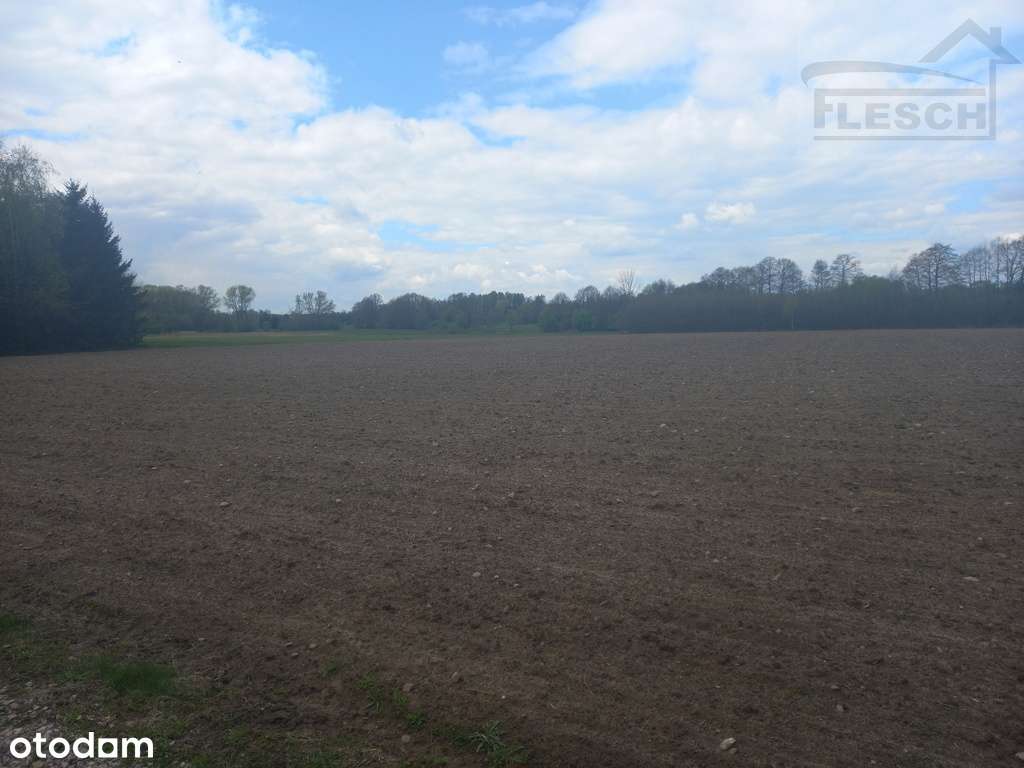 Działka rolno-budowlana 1,5 ha Lisówek - Pełny obrazek: 2/18