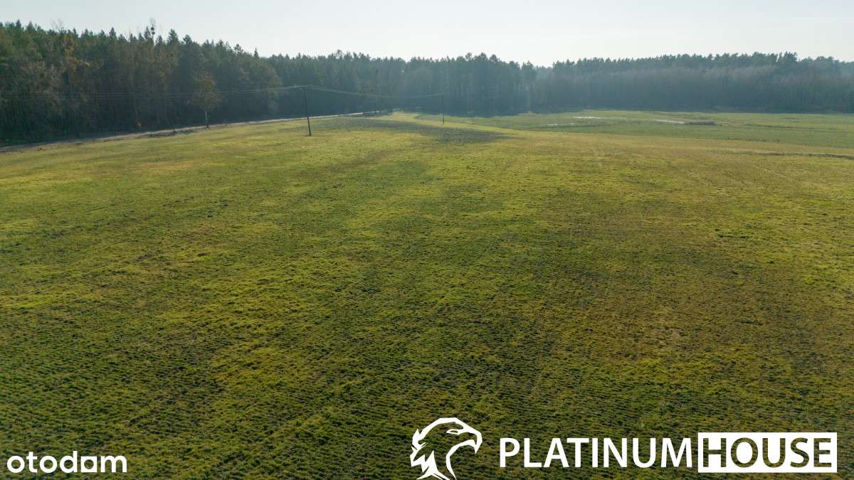 Działka rolna 4,26 ha | Lutol Mokry | Inwestycja - Pełny obrazek: 5/11