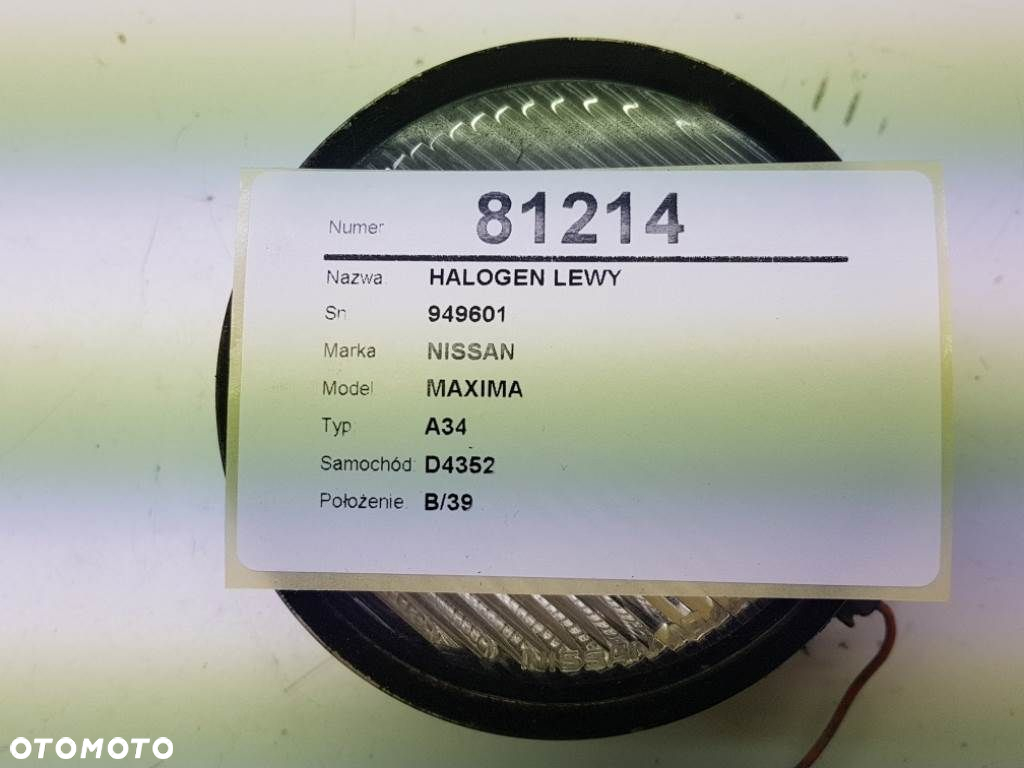 HALOGEN NISSAN MAXIMA A34 VI 2005 949601 - 3