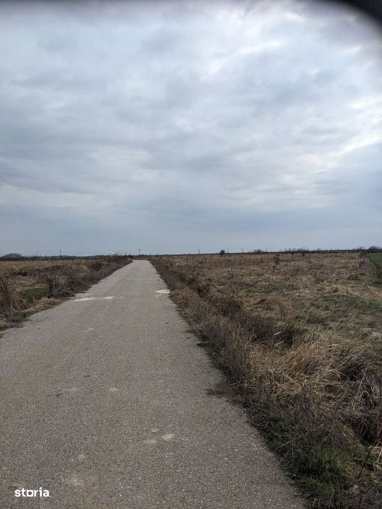 Teren 1000 mp deschidere 40 ml la asfalt ,Albota Morlovani zona vile,-4