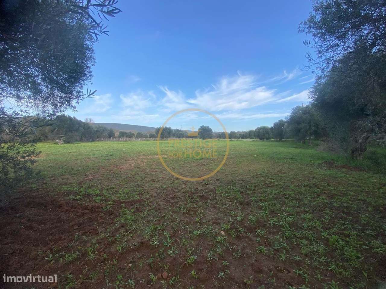 Magnífico terreno misto e plano de 10699 m2, localizado às margens de - Grande imagem: 4/41