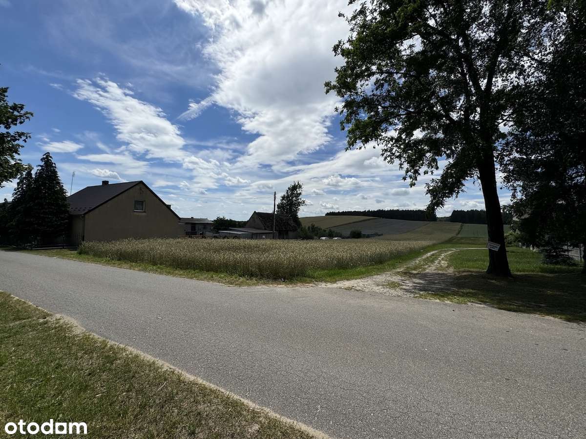 Działka budowlana z własnym lasem i asfaltowym dojazdem, media!-4