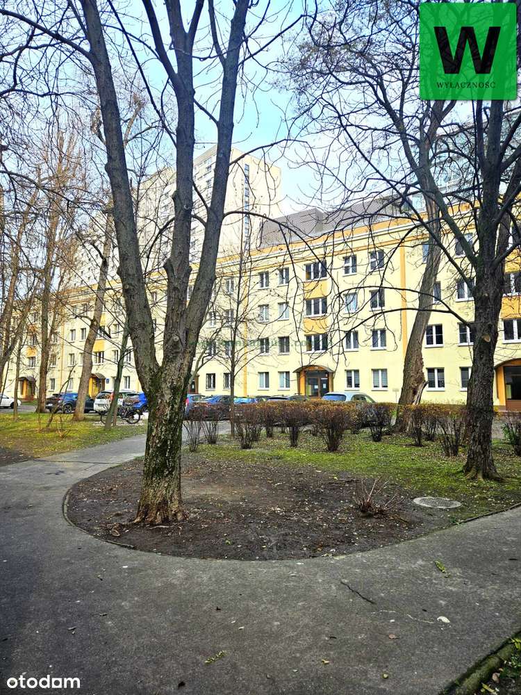 3 pokoje - Centrum-0