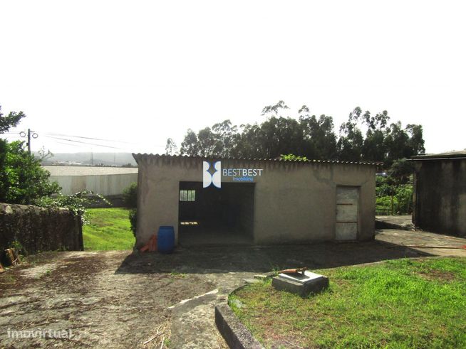 DUAS MORADIAS PARA RESTAURO,MAIS  TERRENO ( 3 ART.MATRICIAIS ),JUNTO C-42