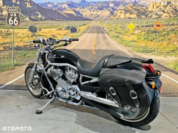 Harley-Davidson Softail V-Rod - 6