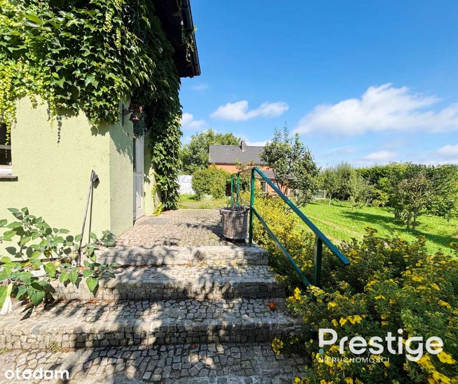 Dom wolnostojący z działką o powierzchni 3500m2 - Pełny obrazek: 5/19