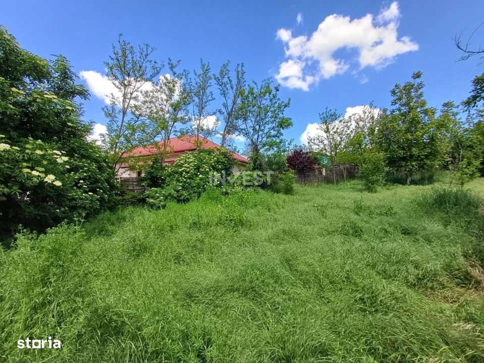 TEREN INTRAVILAN, 602 MP, REDIU - Imagine principală: 2/4