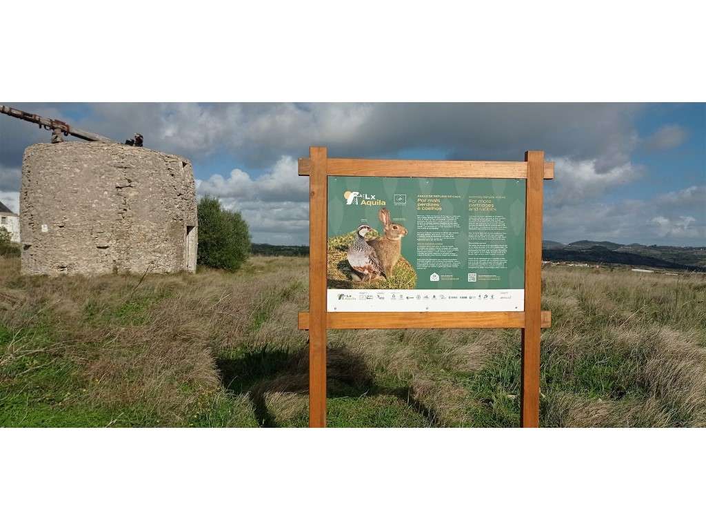 Terreno rústico com 10.800 m2 na serra Almorquim com vista panorâmica - Grande imagem: 5/31