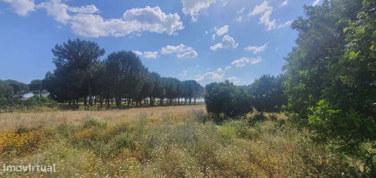 IMPERDÍVEL  Quinta em Foros do Carrapatal, Canha Montijo 51.000m2-26