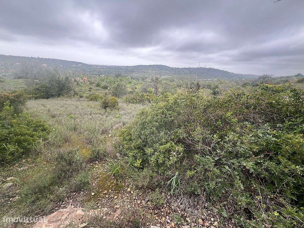 Terreno  para venda - Grande imagem: 4/11