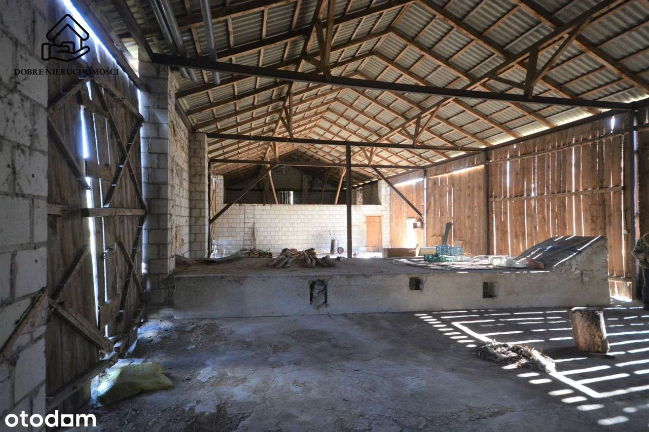 Spiczyn - Jawidz - Działka  zabudowana 22ary - Pełny obrazek: 4/7