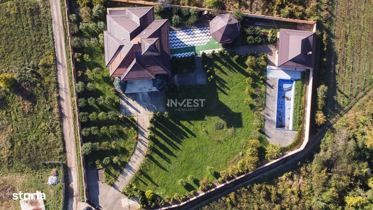 Proprietate Unica de Vanzare in Visani, Iasi – Resedinta si Investit - Imagine principală: 3/12