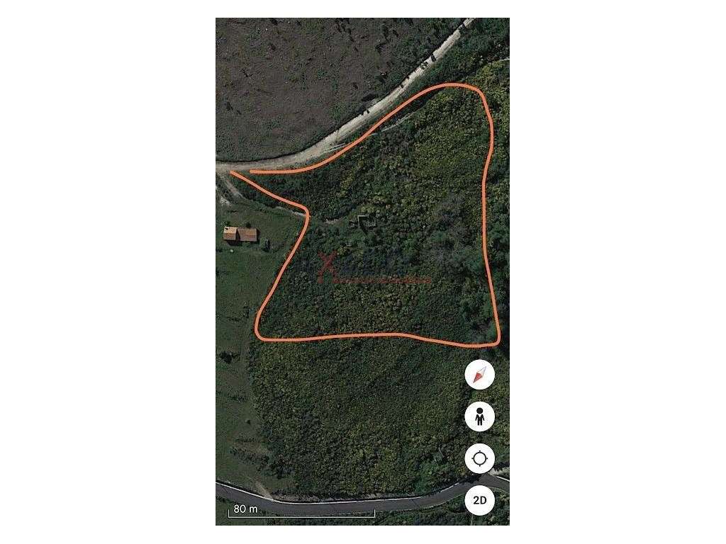 Quinta rústica com ruína em pedra. - Grande imagem: 5/6