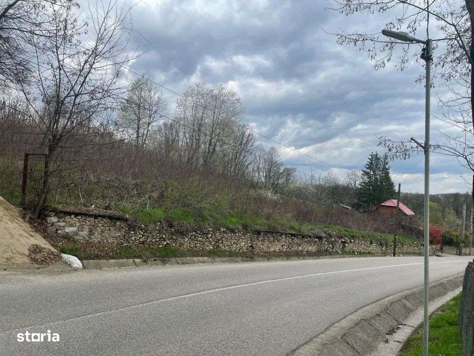 Teren intravilan - Runcu *oportunitate* - zona turistica - Imagine principală: 4/9