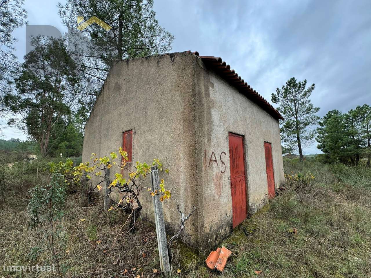 Quinta  Venda em Freixial e Juncal do Campo,Castelo Branco - Grande imagem: 5/21