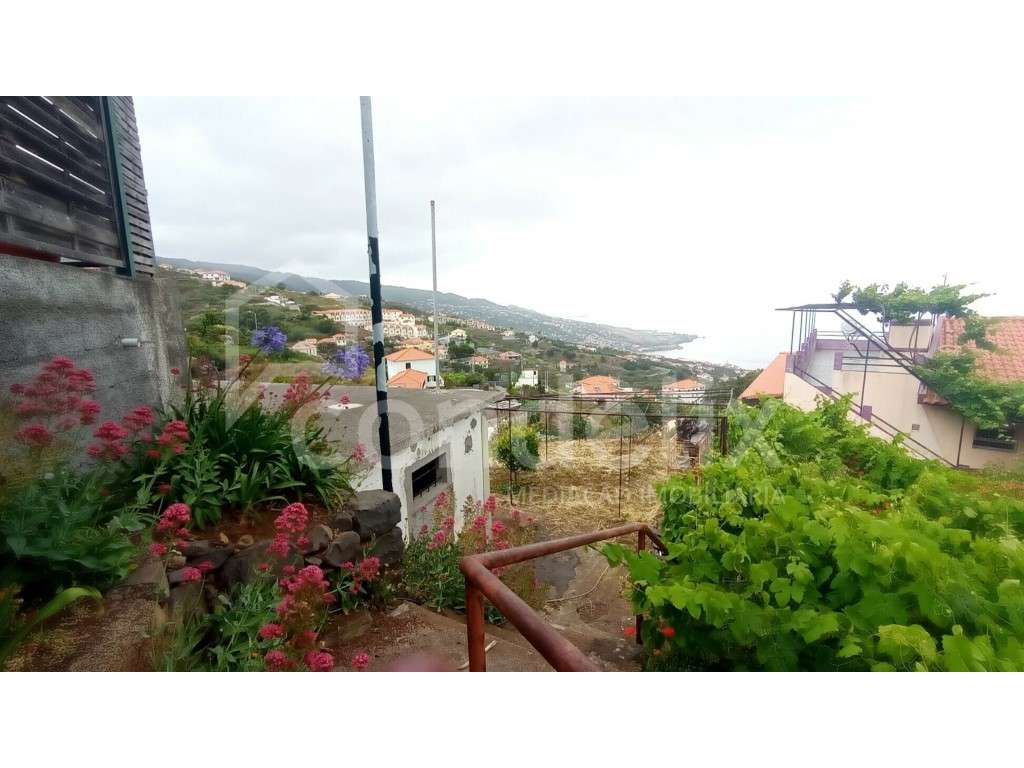 Terreno com 5250m2 em Gaula - vista mar - Grande imagem: 5/15