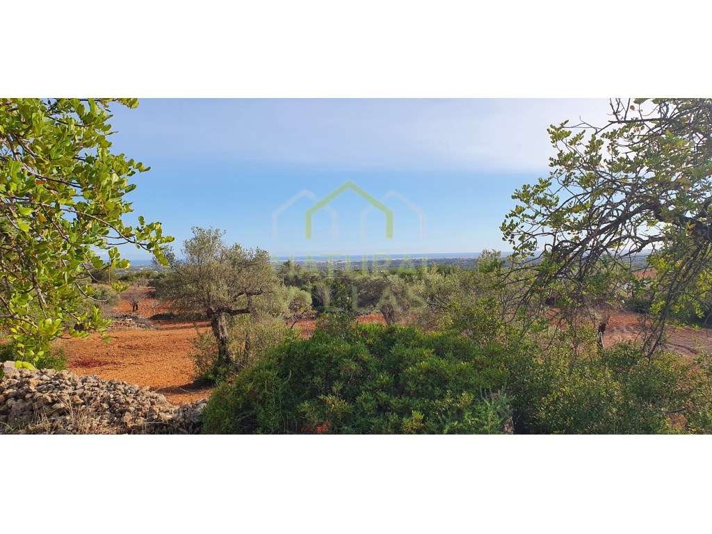 Terreno Misto com Vista Mar Desafogada em Estoi - Grande imagem: 4/8