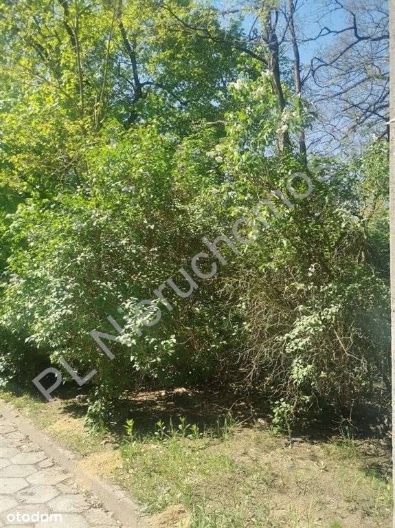 Unikalna działka w centrum Milanówka ! - Pełny obrazek: 5/7